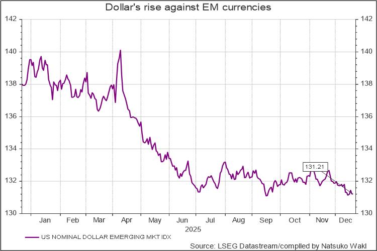 Dollar's rise against EM currencies